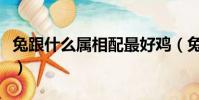 兔跟什么屬相配最好雞(兔跟什么屬相配最好)