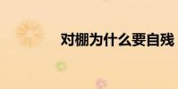 對棚為什么要自殘(對棚)