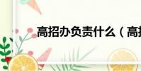 高招辦負責什么(高招辦公室)