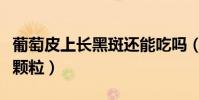 葡萄皮上長黑斑還能吃嗎(葡萄皮上黑色的小顆粒)