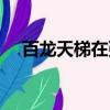 百龍天梯在張家界哪個景區（百龍天梯）