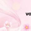 voice下載（s voice）
