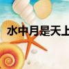 水中月是天上月 眼前人是心上人（水中月）