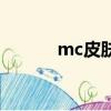 mc皮膚圖片女（mc皮膚圖片）