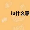 iu什么意思網絡用語（iu什么意思）