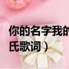 你的名字我的姓氏歌詞諧音（你的名字我的姓氏歌詞）