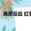高原反應 紅景天（高原反應紅景天有用嗎）