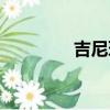 吉尼環長什么樣（吉尼環）
