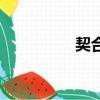 契合怎么讀（契怎么讀）