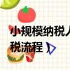 小規模納稅人報稅流程ppt（小規模納稅人報稅流程）