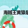 海賊王黃猿是革命軍臥底嗎（海賊王黃猿）