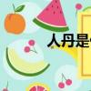 人丹是什么成分（人丹是什么）
