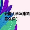 云南大學滇池學院怎么樣?為啥學費高（云南大學滇池學院怎么樣）