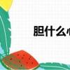 膽什么心什么?（膽什么心什么）
