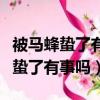 被馬蜂蟄了有個紅點是怎么回事（被一只馬蜂蟄了有事嗎）