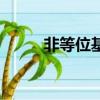 非等位基因示意圖（非等位基因）