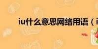 iu什么意思網絡用語(iu什么意思)