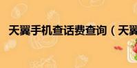 天翼手機查話費查詢(天翼手機話費查詢)