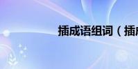插成語組詞(插成語)