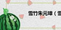 雪竹朱元璋(雪竹)