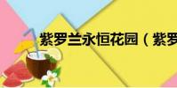 紫羅蘭永恒花園(紫羅蘭的花語)