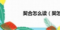 契合怎么讀(契怎么讀)