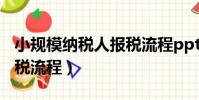 小規模納稅人報稅流程ppt(小規模納稅人報稅流程)