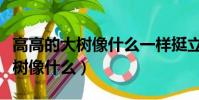 高高的大樹像什么一樣挺立在路旁(高高的大樹像什么)