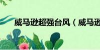 威馬遜超強臺風(威馬遜臺風多少級)