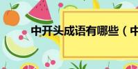 中開頭成語有哪些(中開頭成語)