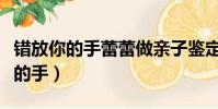 錯放你的手蕾蕾做親子鑒定是哪一集(錯放你的手)