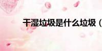干濕垃圾是什么垃圾(干濕垃圾)