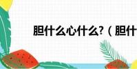 膽什么心什么?(膽什么心什么)