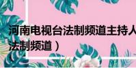 河南電視臺法制頻道主持人宏偉(河南電視臺法制頻道)