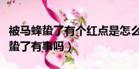 被馬蜂蟄了有個紅點是怎么回事(被一只馬蜂蟄了有事嗎)