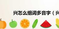 興怎么組詞多音字(興怎么組詞)