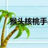 猴頭核桃手串包漿玉化完圖（猴頭核桃）