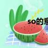 so的意思是什么（so的意思）