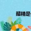 醋精是什么做的（醋精是什么）