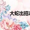 大蛇出招表帶圖4399（大蛇出招表）