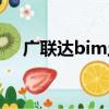 廣聯達bim土建計量平臺（廣聯達bim）