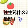 往生咒什么時候念最好呢（往生咒什么時候念最好）