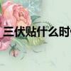三伏貼什么時候貼合適（三伏貼什么時候貼）