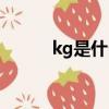 kg是什么意思（gk是什么意思）