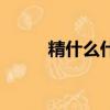 精什么什么精的成語（精的成語）