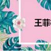 王菲棋子歌詞（棋子歌詞）