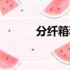 分纖箱和光纖配線箱（分纖箱）