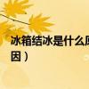 冰箱結冰是什么原因造成的怎么處理（冰箱老結冰是什么原因）