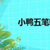 小鴨五筆輸入法好用嗎（小鴨五筆）