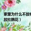 家里為什么不放杜鵑花家里可以養萬年紅嗎（家里為什么不放杜鵑花）